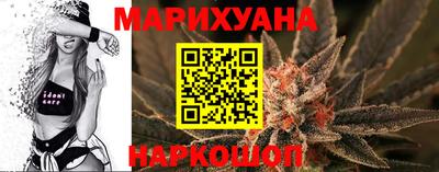индика Ставрополь