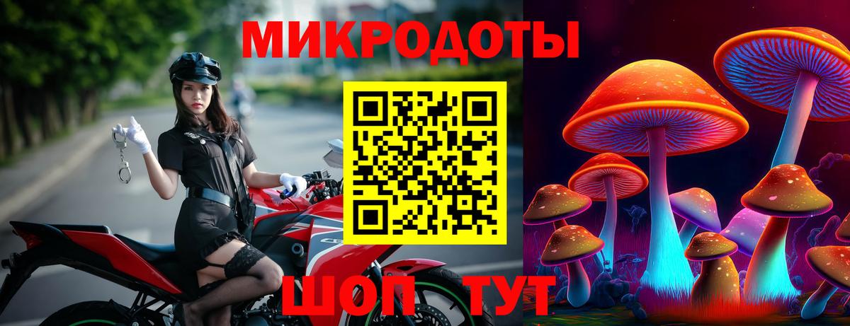 Псилоцибиновые грибы Cubensis  Вход с VPN  Ноябрьск 