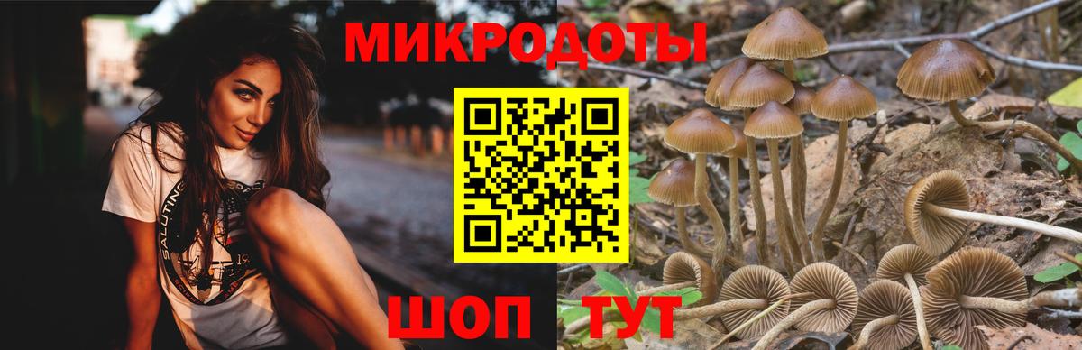 Псилоцибиновые грибы MAGIC MUSHROOMS Ноябрьск